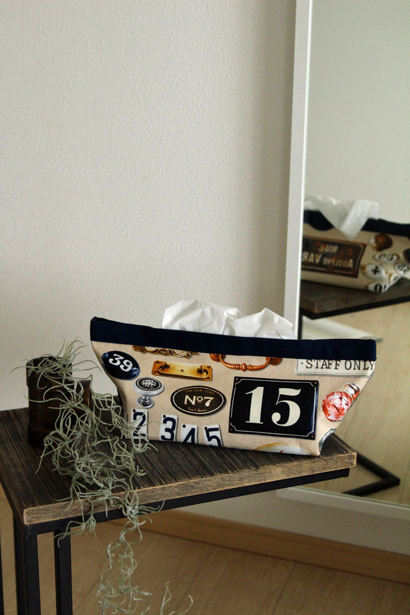 cs208_tissueboxcase_1